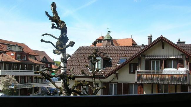 Sonne - Self Check-in